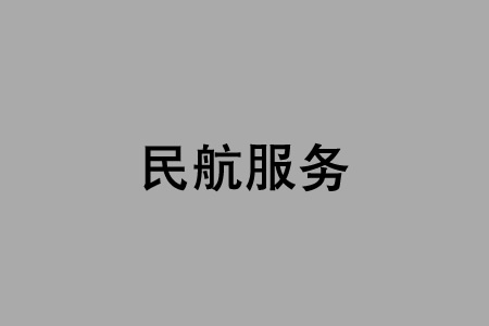 民航服务